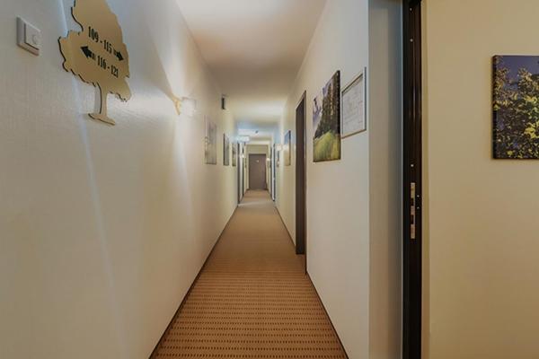 Отель Eichengrund Cochstedt Hecklingen  Экстерьер фото